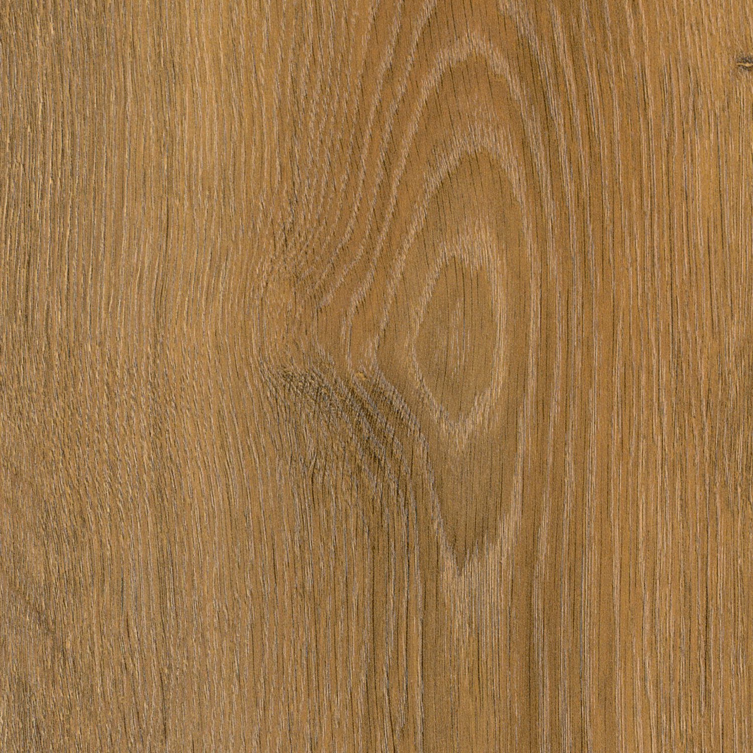 Golden Gate Oak Aqua 8 mm