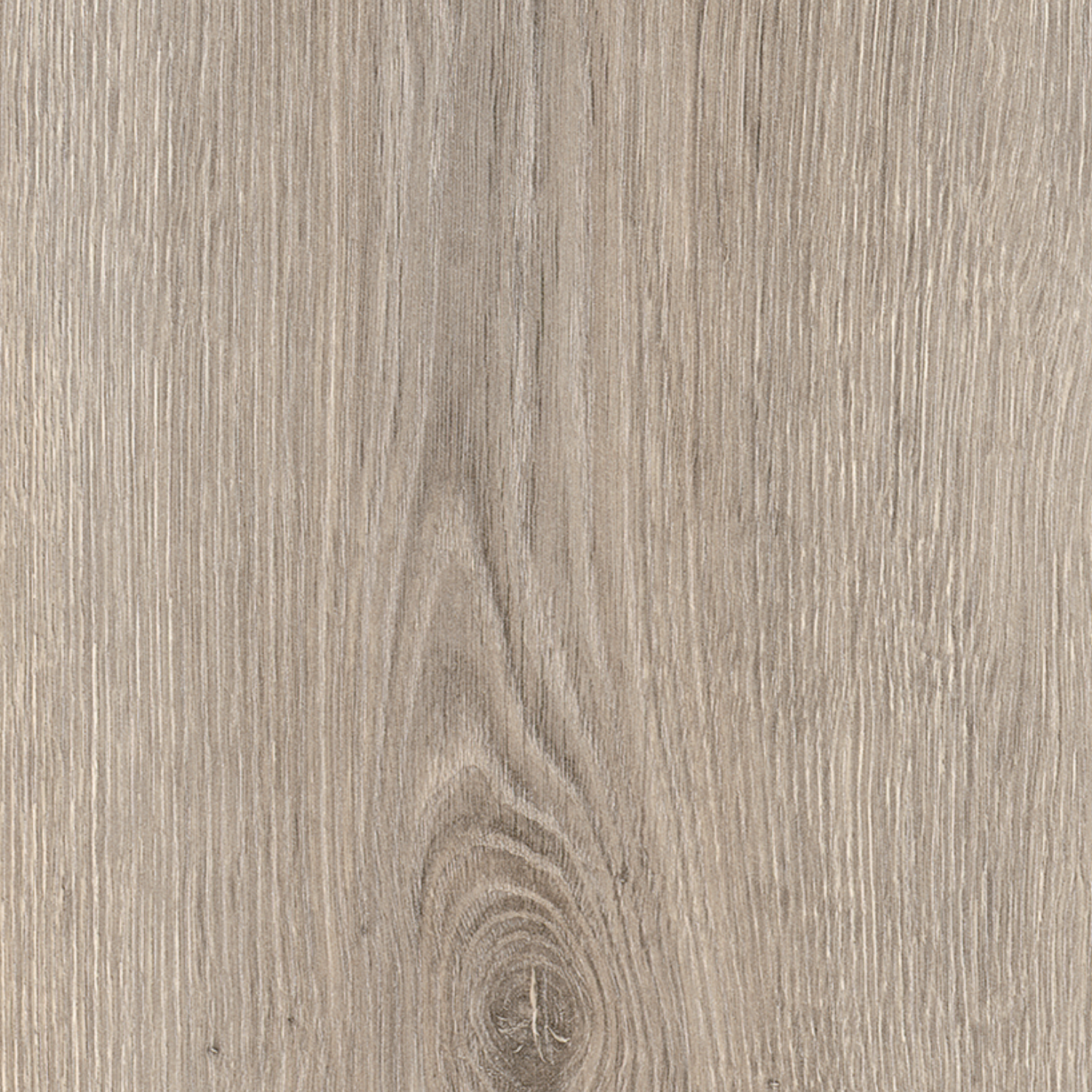 Erasmus Oak Aqua 8 mm