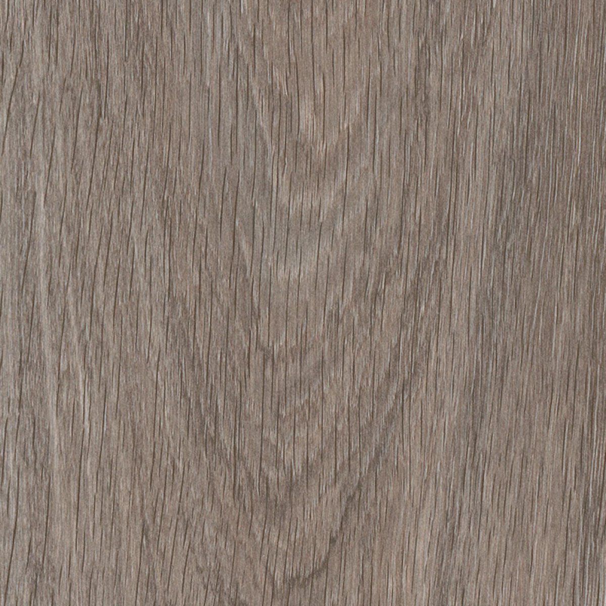 Dapple Grey Oak Aqua 8 mm
