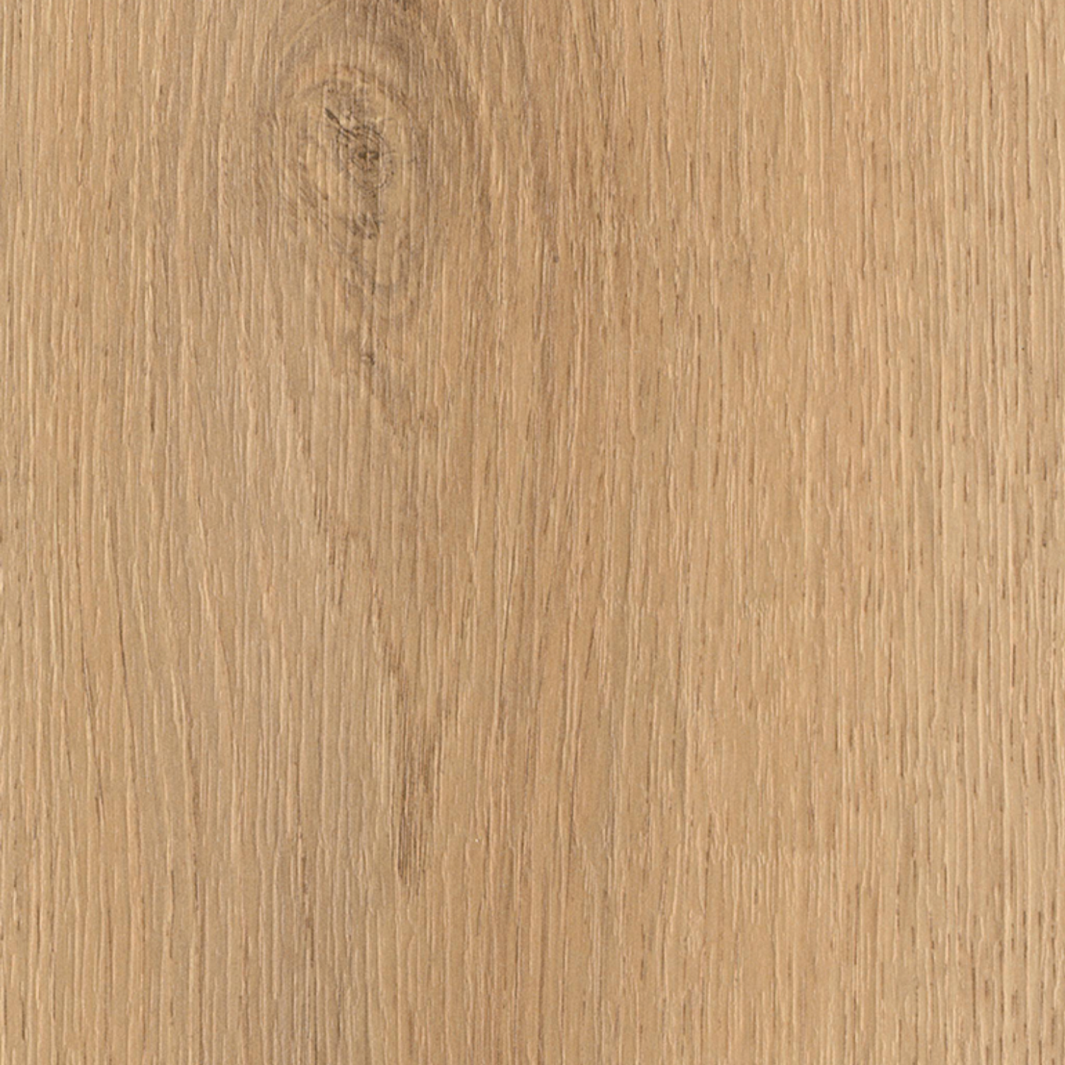 Sahara Oak Aqua 8 mm