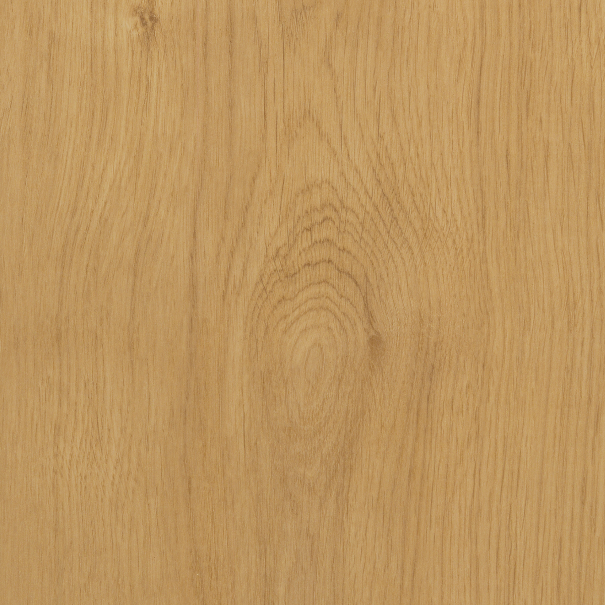 Muson Oak Aqua 12 mm