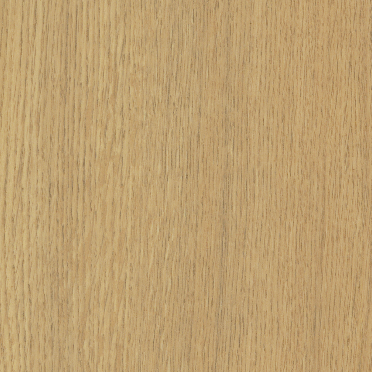 Silva Oak 12mm